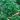 p3060-semo-zelenina-petrzel-zahradni-natova-gigante-d-italia-624×757