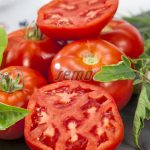 pitagora pomidorai seklos